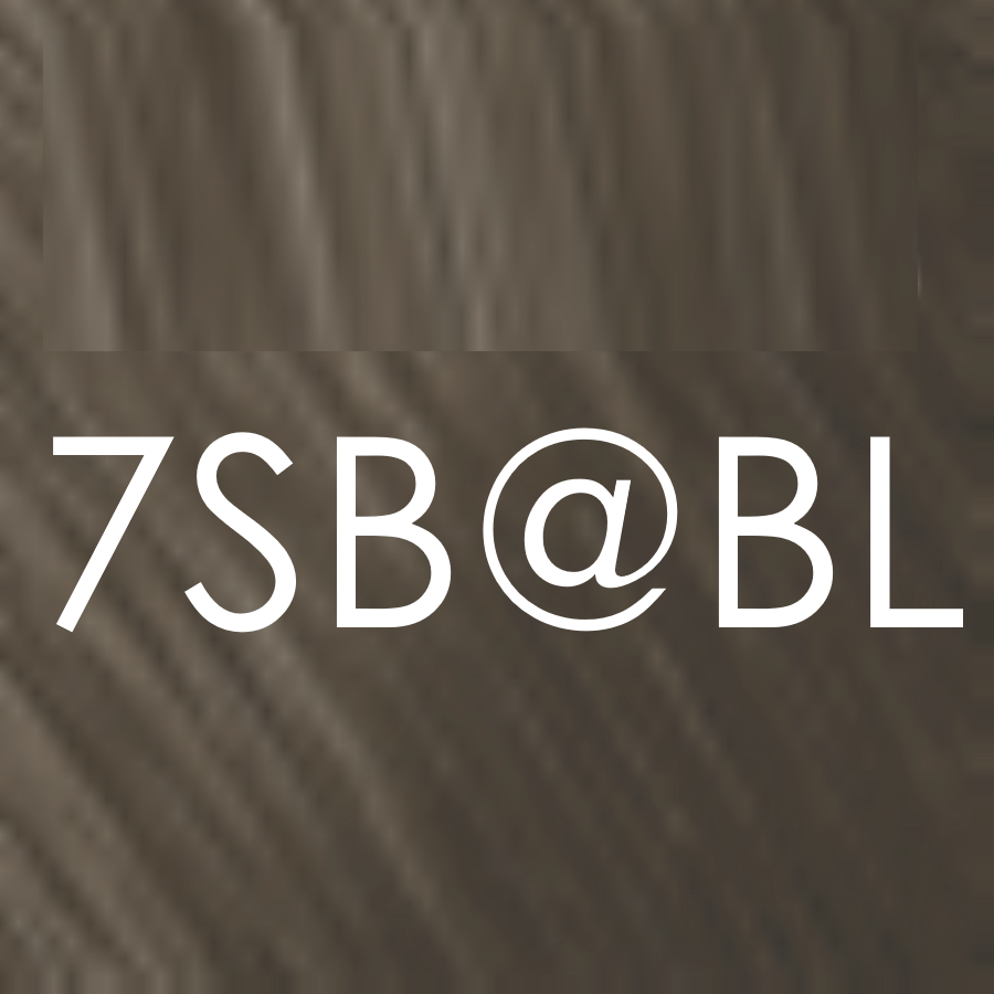 7SB@BI silber beige elumenated blau