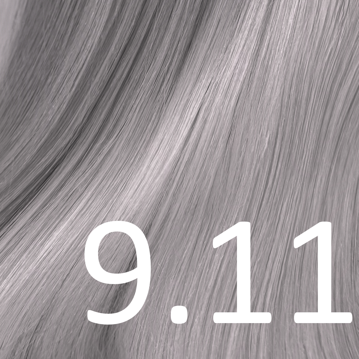 9.11 Silver Asch