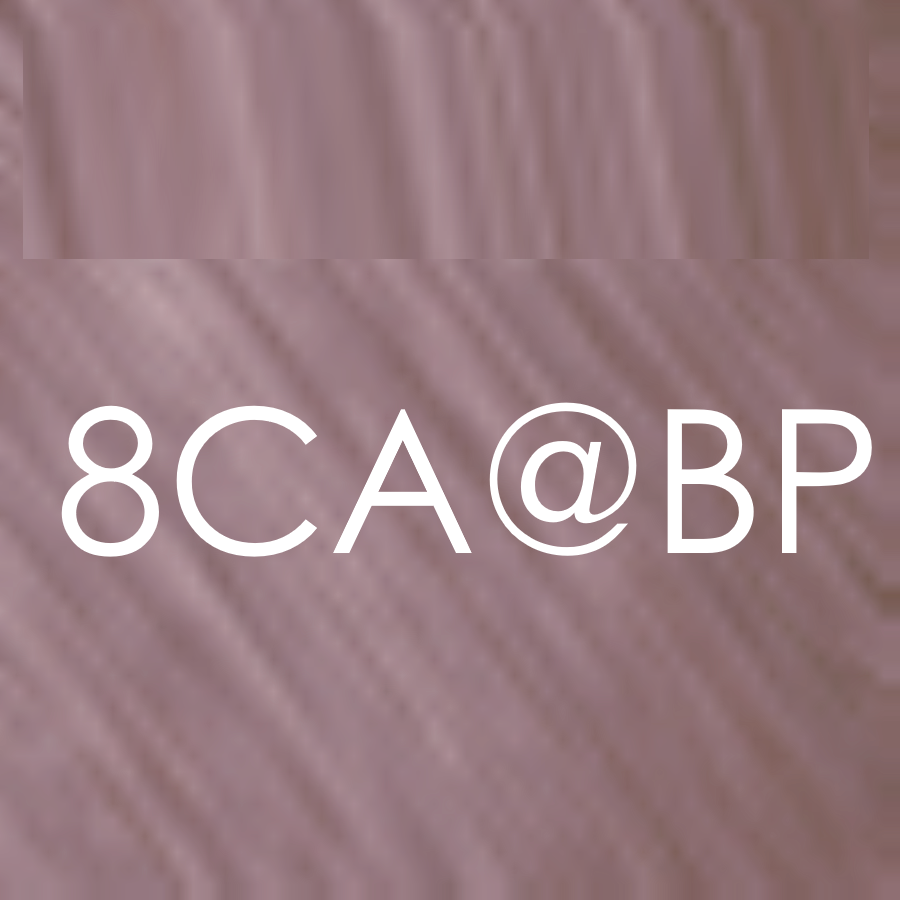 8CA@PB cool bronze elumenated pearl beige