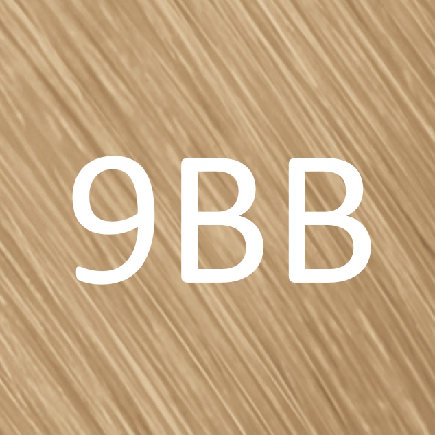 9BB BISCUIT